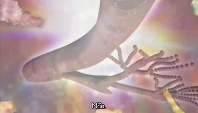 Episódio 05