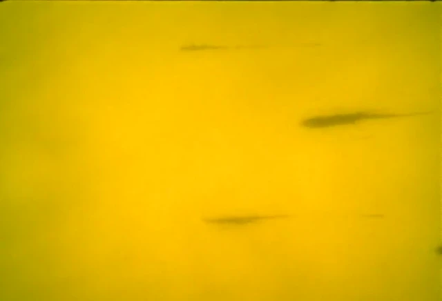 Episódio 25