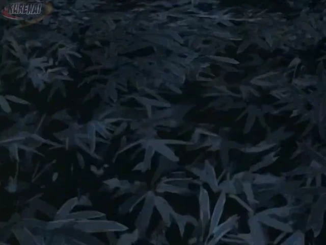 Episódio 01