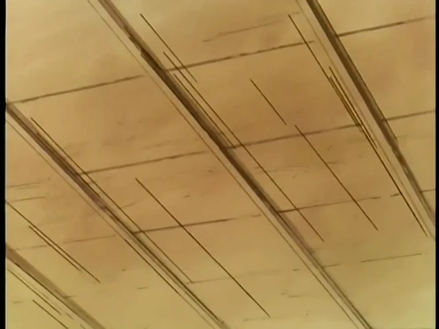 Episódio 33