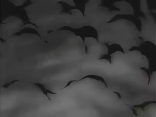 Episódio 30