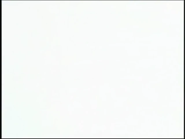 Episódio 29