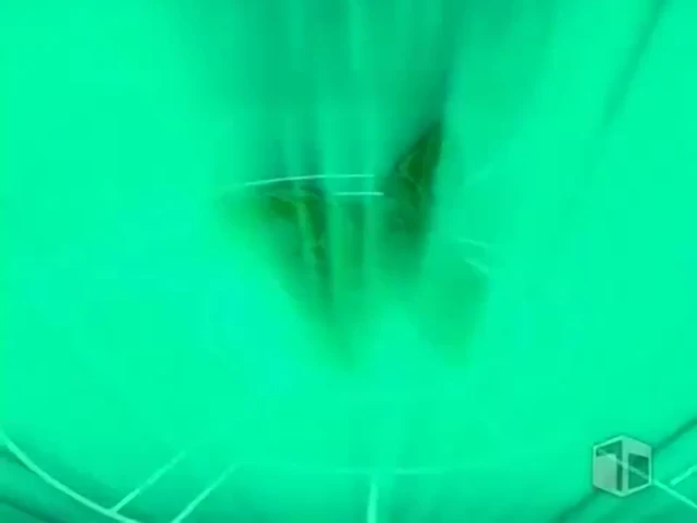 Episódio 14