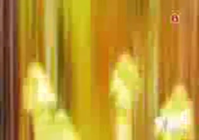 Episódio 36