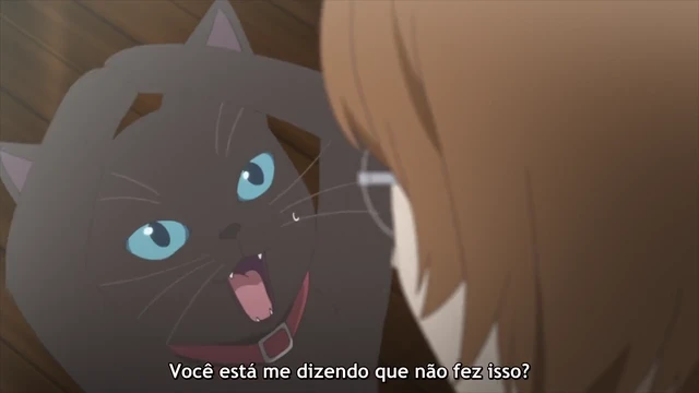 Episódio 08