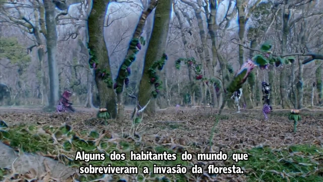 Episódio 27