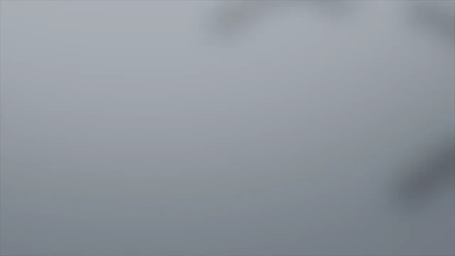 Episódio 51