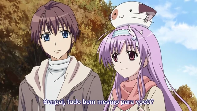 Episódio 12