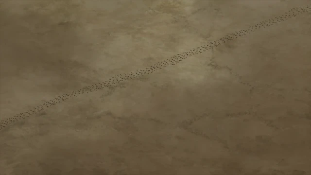 Episódio 12