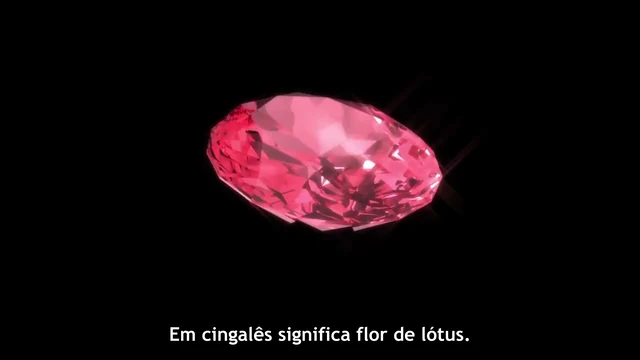 Episódio 01