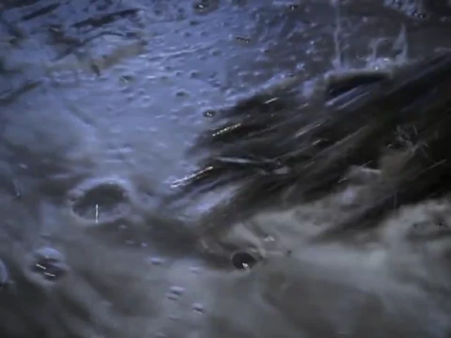 Episódio 17