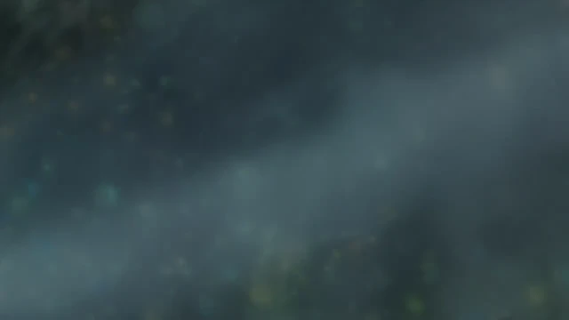 Episódio 20