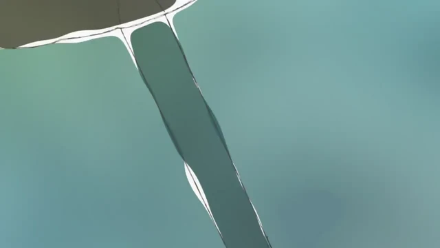 Episódio 11