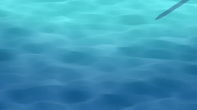 Episódio 30