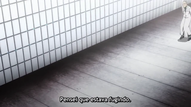 Episódio 12