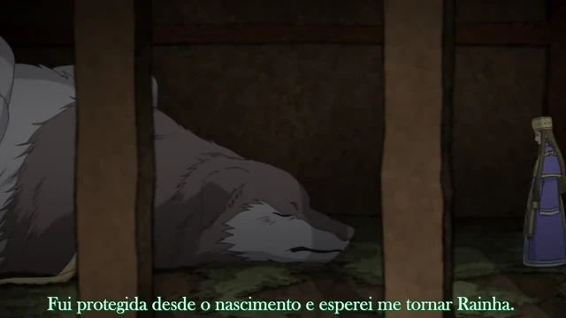 Episódio 47
