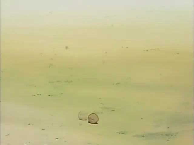 Episódio 29