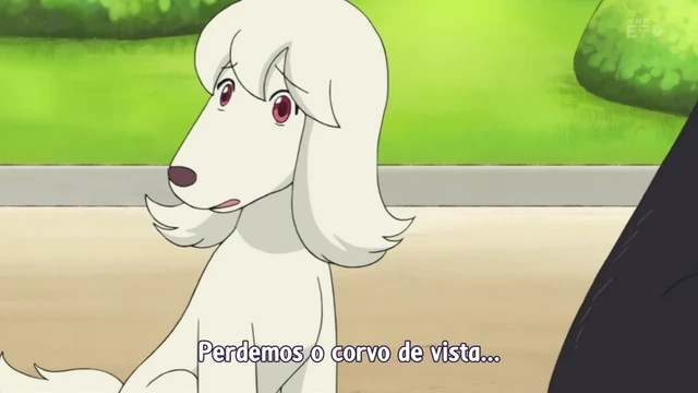 Episódio 22