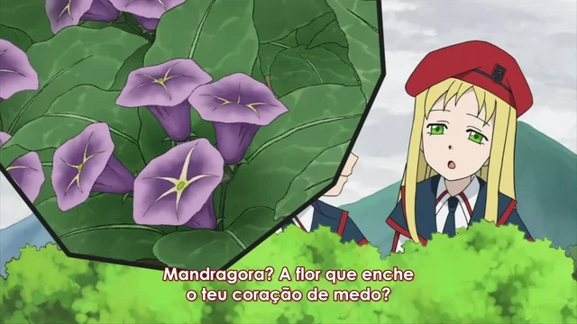 Episódio 44