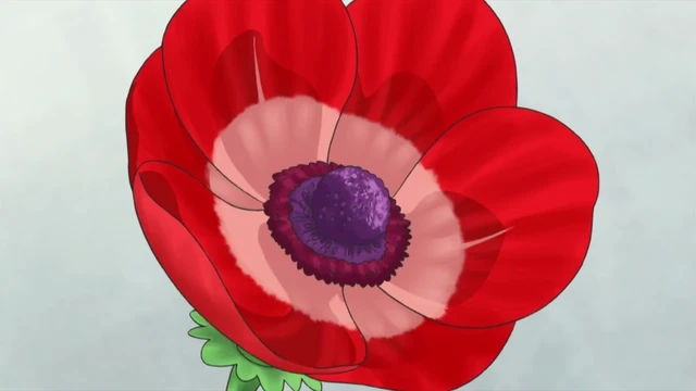 Episódio 34