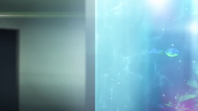 Episódio 17
